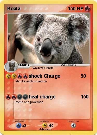 Pokemon Koala