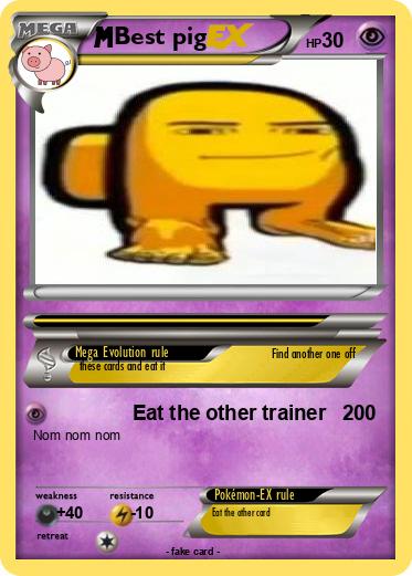 Pokemon Best pig