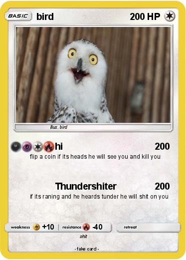 Pokemon bird