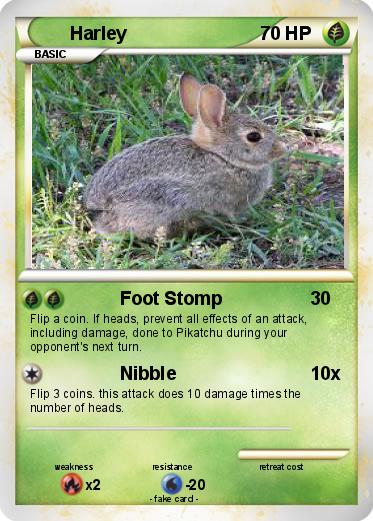 Pokemon Harley