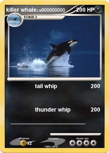 Pokemon killer whale
