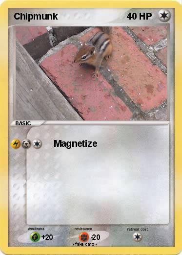 Pokemon Chipmunk