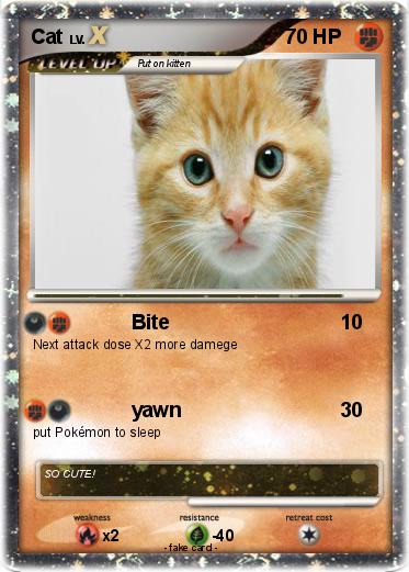 Pokemon Cat