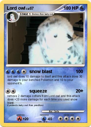 Pokemon Lord owl