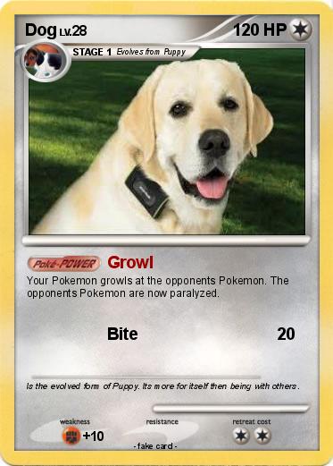 Pokemon Dog