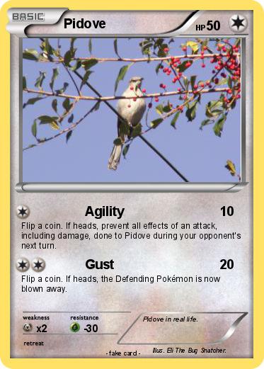 Pokemon Pidove
