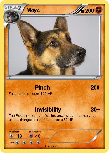 Pokemon Maya