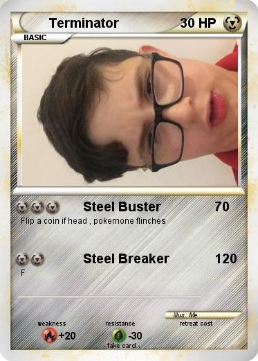 Pokemon Terminator