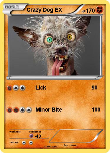 Pokemon Crazy Dog EX