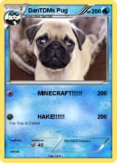 Pokemon DanTDMs Pug