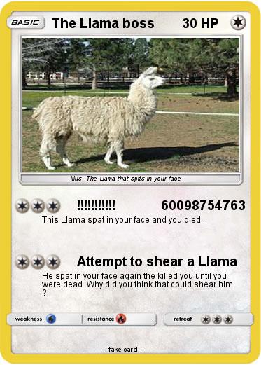 Pokemon The Llama boss
