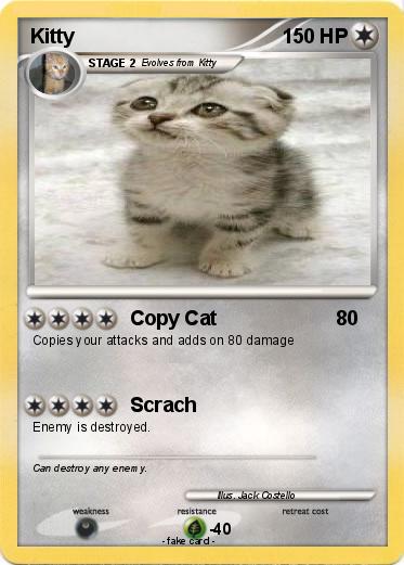 Pokemon Kitty