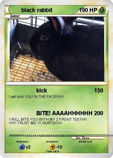 Pokemon black rabbit