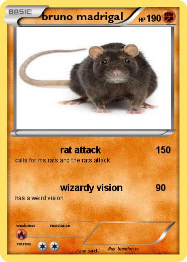 Pokemon bruno madrigal