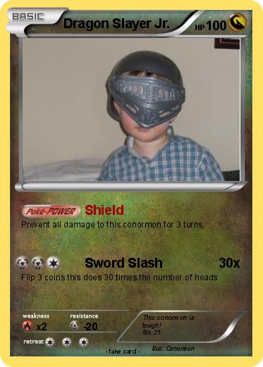 Pokemon Dragon Slayer Jr.