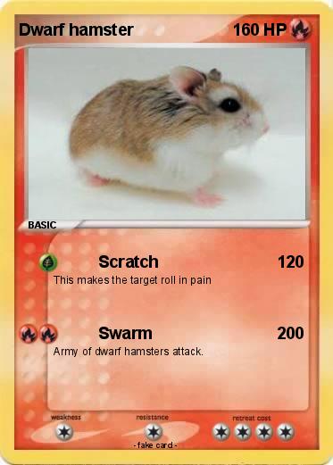 Pokemon Dwarf hamster