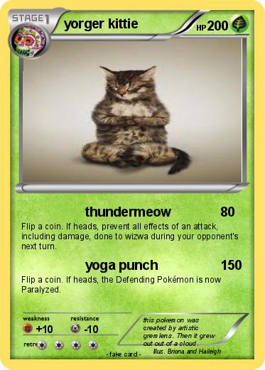 Pokemon yorger kittie