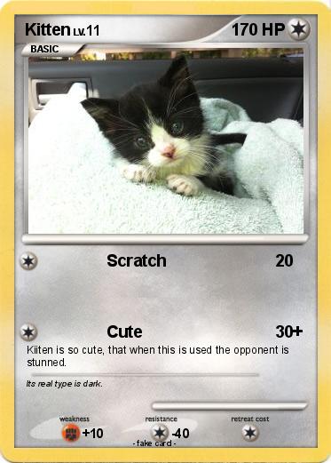 Pokemon Kitten