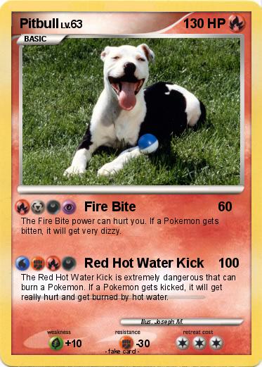 Pokemon Pitbull
