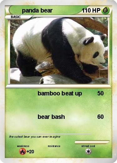 Pokemon panda bear