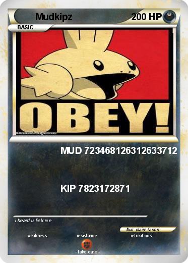 Pokemon Mudkipz