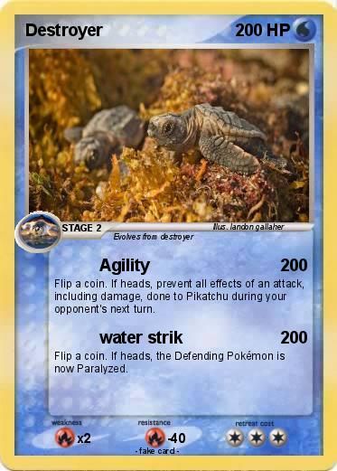 Pokemon Destroyer