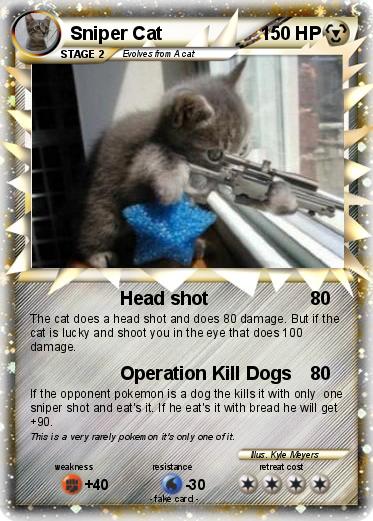 Pokemon Sniper Cat