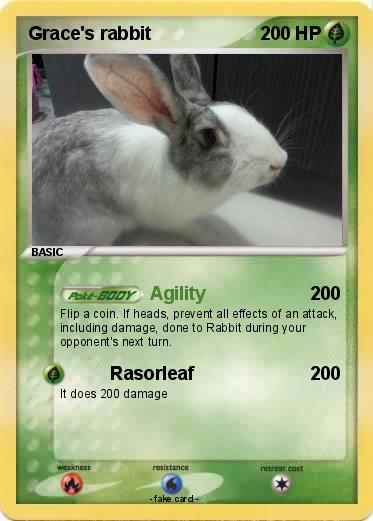 Pokemon Grace's rabbit