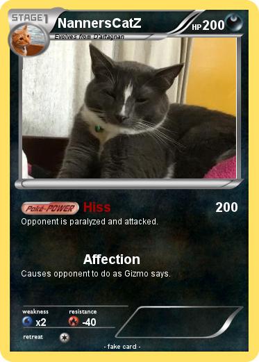 Pokemon NannersCatZ