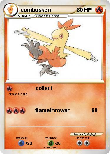 Pokemon combusken