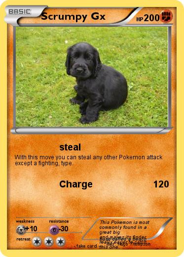 Pokemon Scrumpy Gx