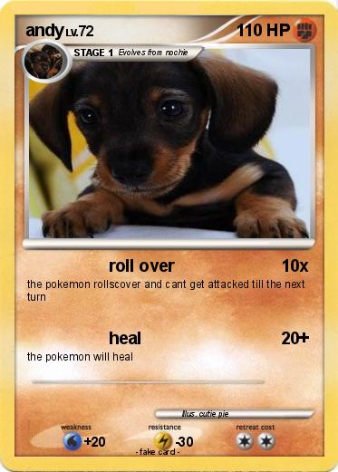 Pokemon andy