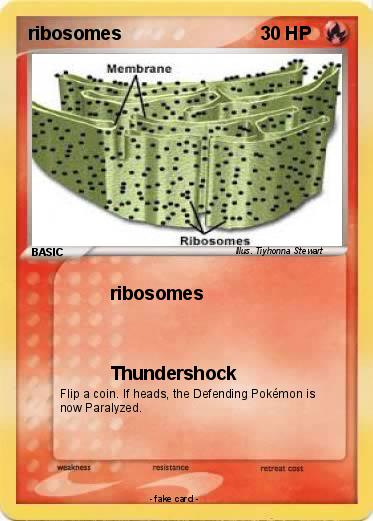 Pokemon ribosomes