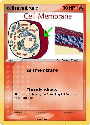 Pokemon cell membrane