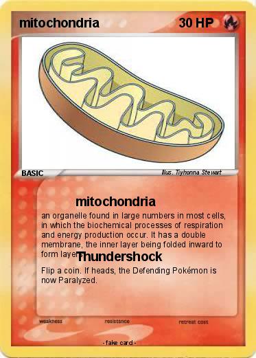 Pokemon mitochondria