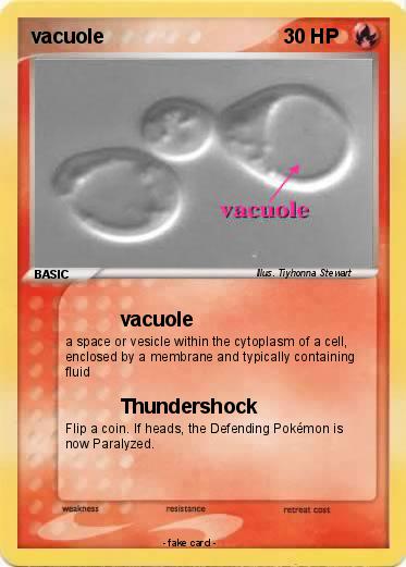 Pokemon vacuole