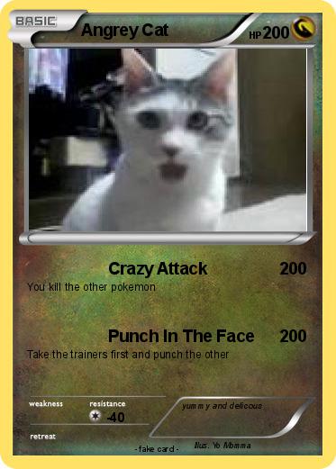 Pokemon Angrey Cat