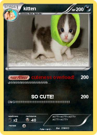 Pokemon kitten