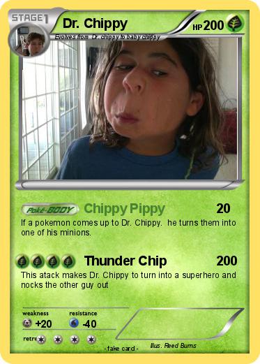 Pokemon Dr. Chippy