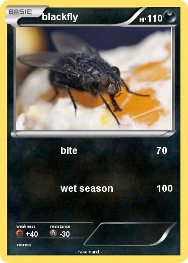 Pokemon blackfly