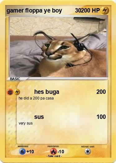 Pokemon gamer floppa ye boy        30
