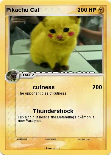 Pokemon Pikachu Cat