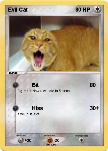 Pokemon Evil Cat