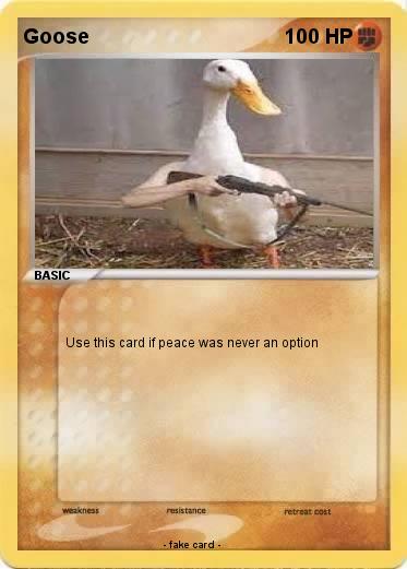 Pokemon Goose