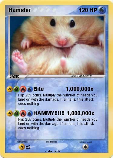 Pokemon Hamster