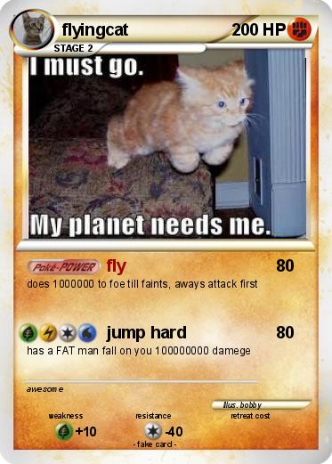 Pokemon flyingcat