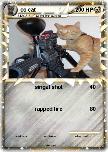 Pokemon co cat