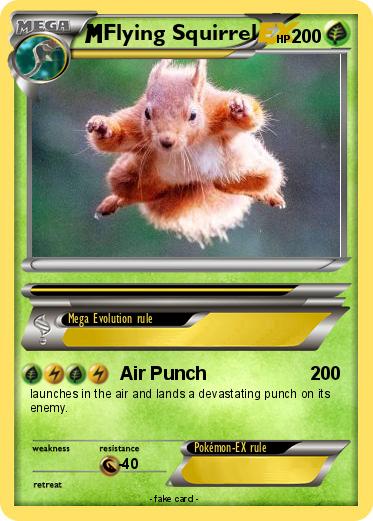 Pokemon Flying Squirrel