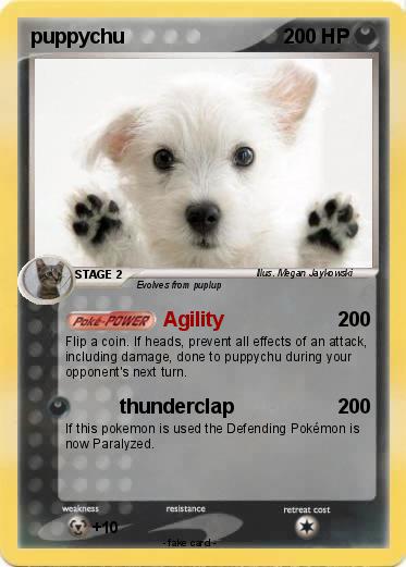 Pokemon puppychu
