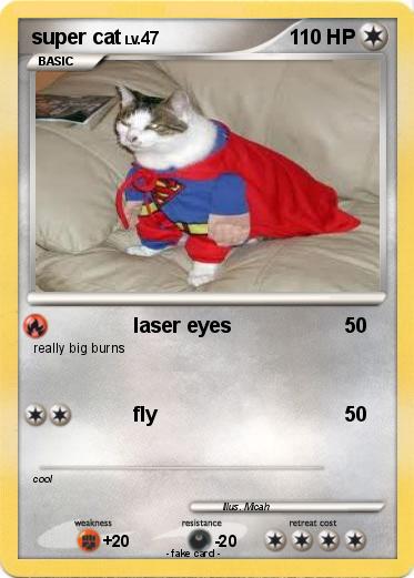 Pokemon super cat